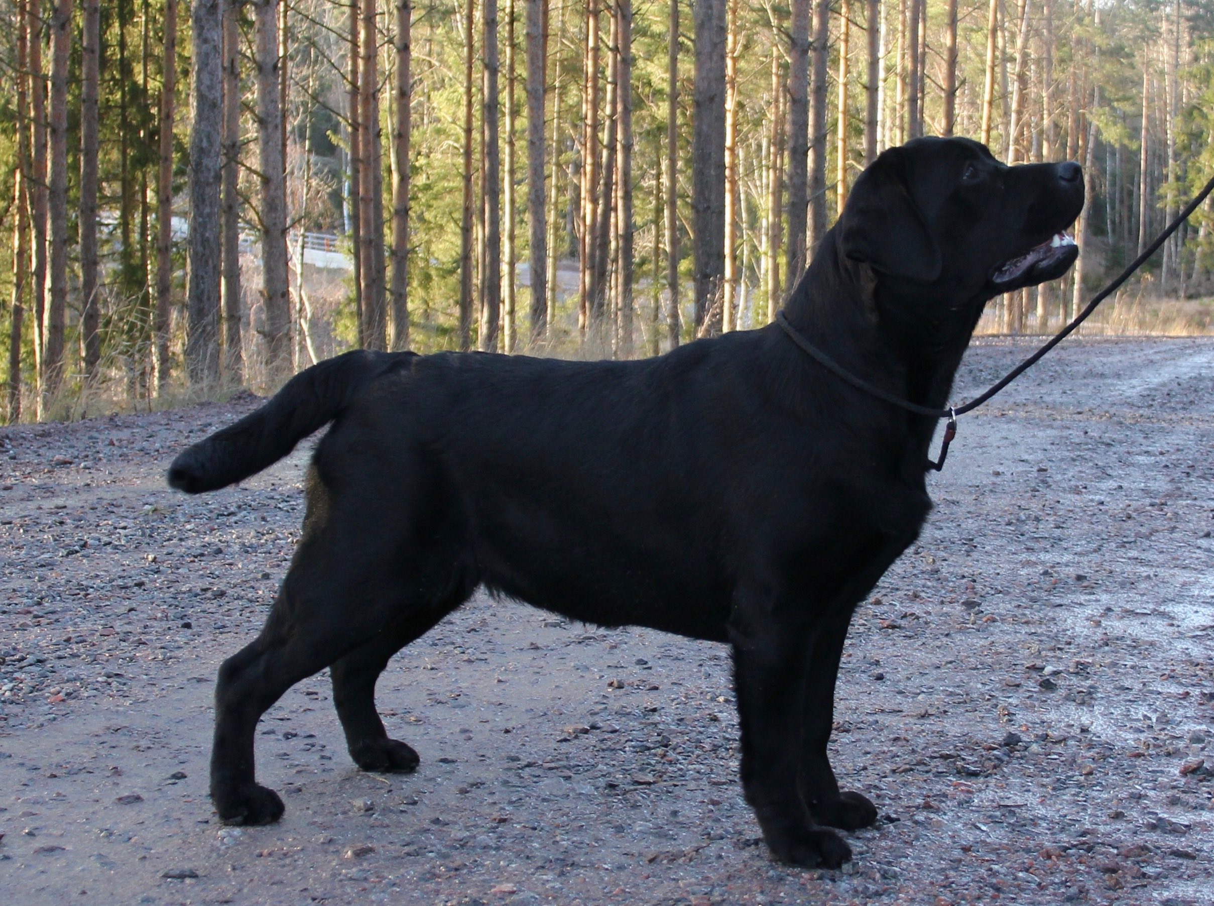 Greta 8 mån