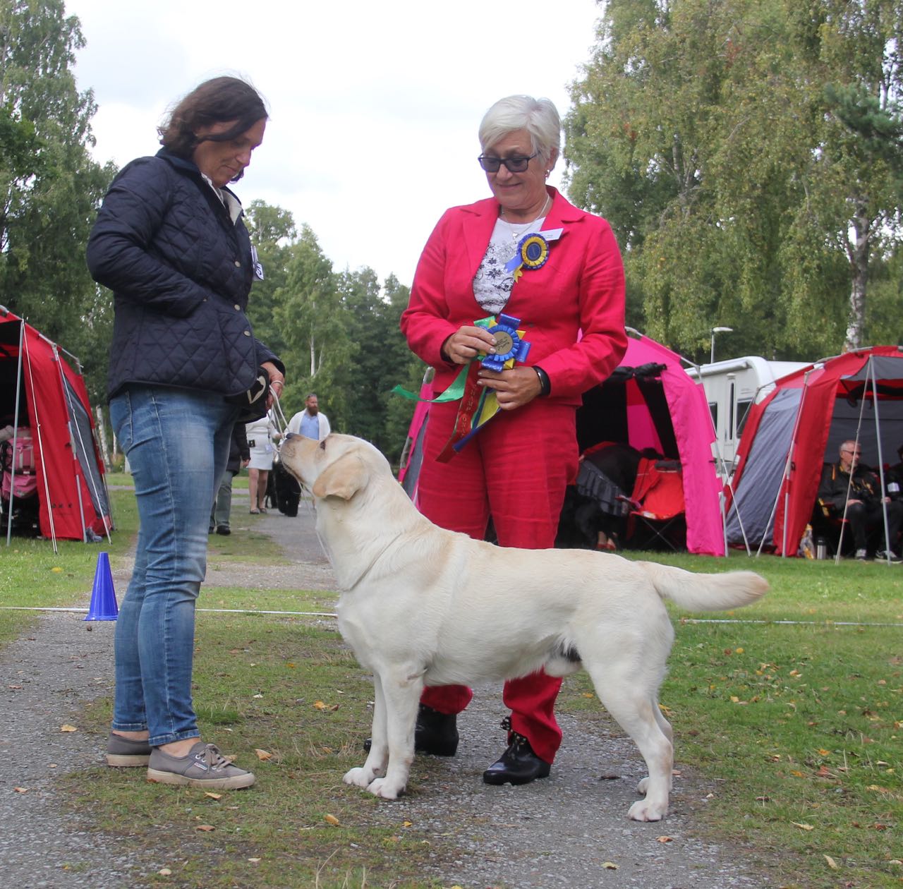 Wiggle svensk champion