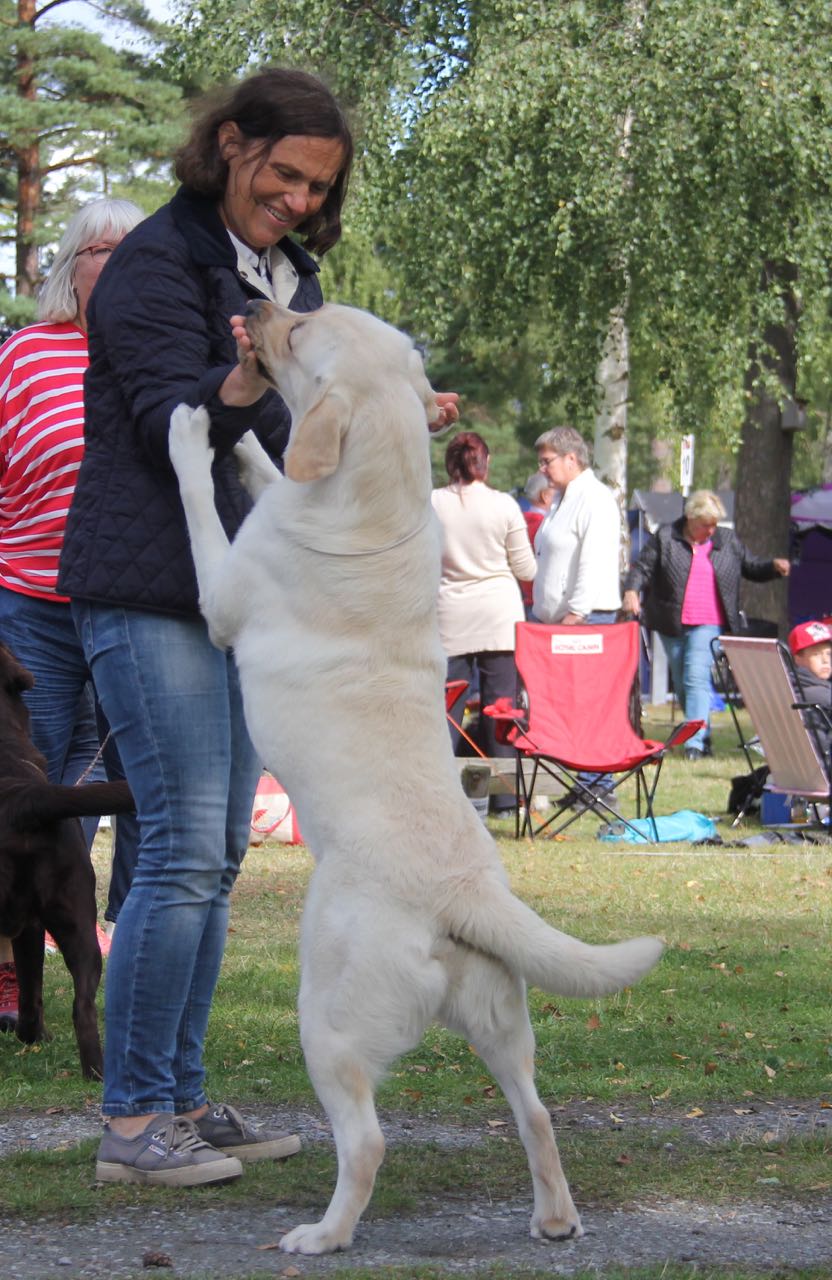 Wiggle svensk champion 2